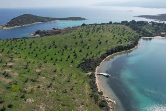 Διάπορος: το νησί που έγινε υπόθεση της πλατείας